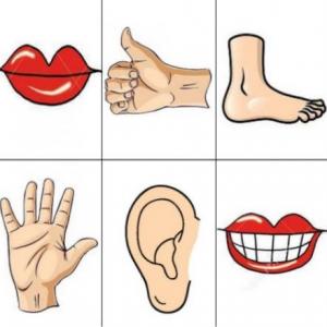 MEMOTEST DE PARTES DEL CUERPO