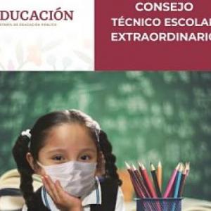 Consejo Técnico Extraordinario