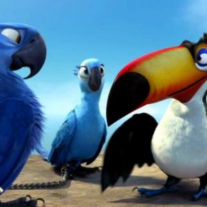 EL MUNDO DE LAS AVES