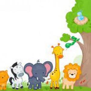 los animales y su habitat