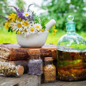 PLANTAS MEDICINALES