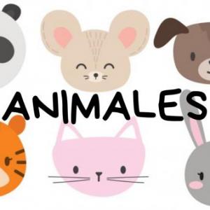 Animales
