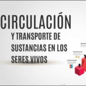 Circulación en los Seres vivos