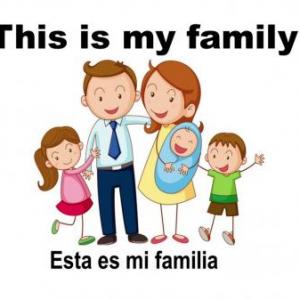 Portada del juego The Family – Idiomas