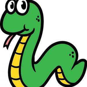 serpiente y loro