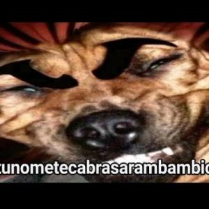 Imagen de portada del videojuego educativo: Quiz de Baki, de la temática Tecnología