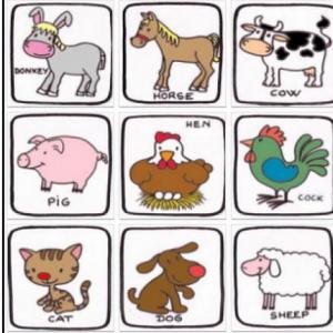 Animales y su comida