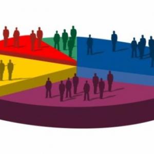 segmentación del mercado y mezcla comercial