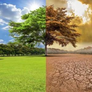 Desastre climático