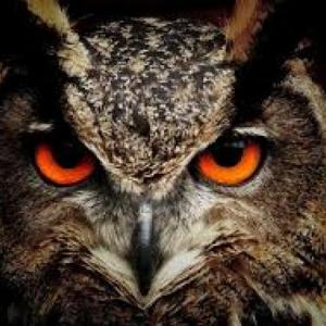 Animales