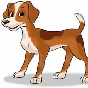 DUCHAZO DE ANIMALES