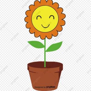 LAS PLANTAS COMO SER VIVO