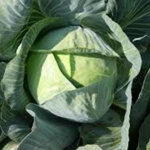 Ahorcado de Col