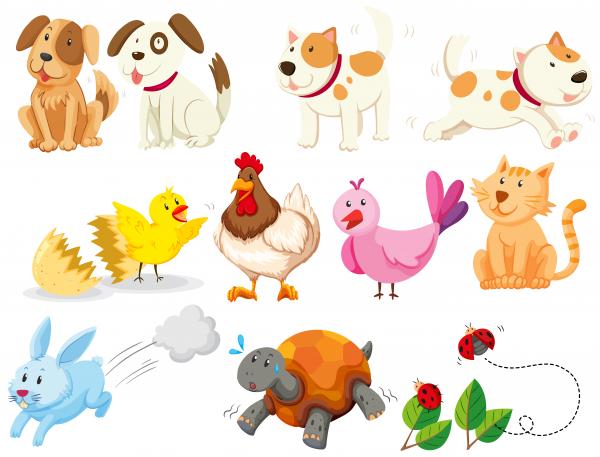 Portada del juego Meeting Domestic Animals – Idiomas