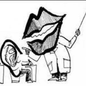 Paradigma Conductual