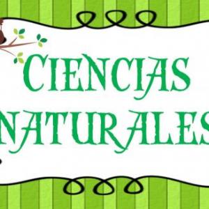 ANIMALES Y PLANTAS