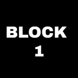 BLOCK 1 VOCABULARY