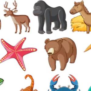 Imagen de portada del videojuego educativo: Conocemos los animales vertebrados e invertebrados, de la temática Ciencias
