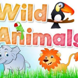 Match the animals