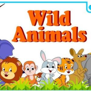 Multi level wild animals
