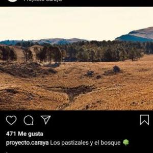 Proyecto de rescate y cuidado animal