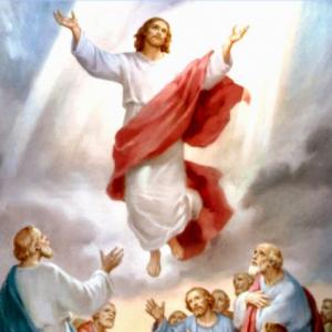 Imagen de portada del videojuego educativo: PASOS PARA UNA BUENA CONFESION , de la temática Religión
