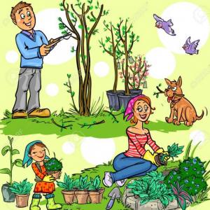 My Garden Vocabulary
