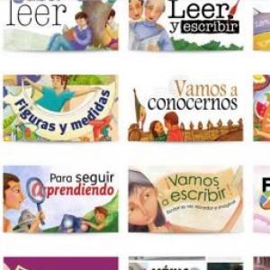 Ejes y competencias del MEVyT
