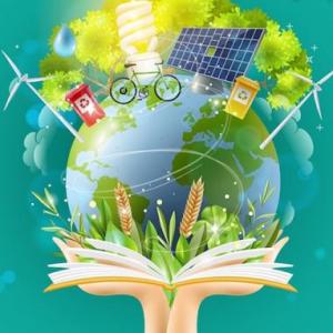 Juego de Educación Ambiental