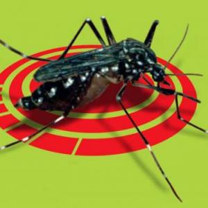 ¿CUÁNTO APRENDISTE DEL AEDES AEGYPTI?