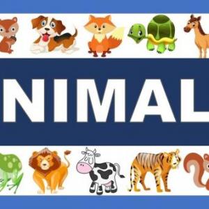 ANIMALS