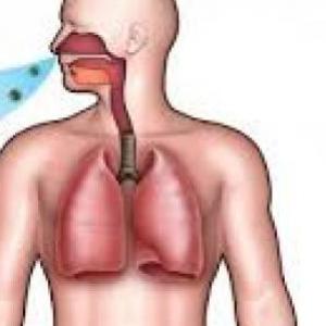 SISTEMA RESPIRATORIO Y DIGESTIVO