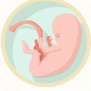 HIPOTESIS DE LA PROGRAMACIÓN DE FENOTIPO AHORRADOR