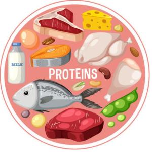 Proteinas
