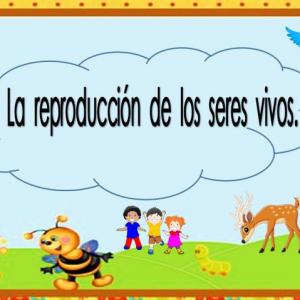Reproducción de los seres vivos.