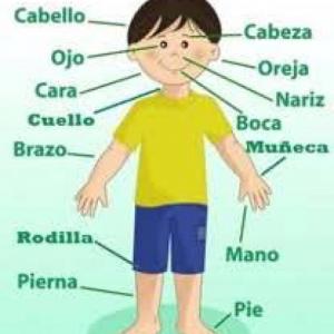 memorama