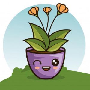LAS PARTES DE LA PLANTA