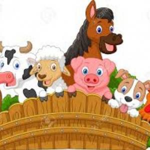 Animales de la granja
