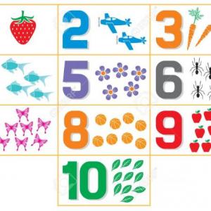 NUMBERS
