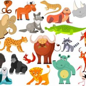 Imagen de portada del videojuego educativo: Ahorcado de animales en Ingles , de la temática Biología