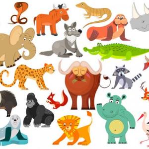 Animales