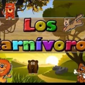 Animales Carnívoros 