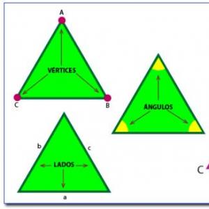 Portada del juego Clasificación según los lados II. – Matemáticas