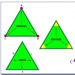 Portada del juego Clasificación según los ángulos III. – Matemáticas