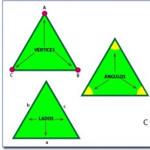 Clasificación según los ángulos II.