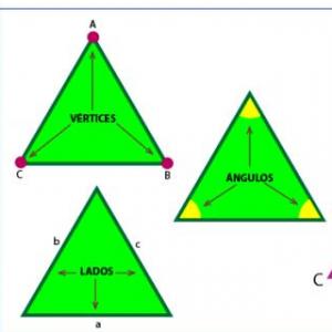 Portada del juego Clasificación según los lados. – Matemáticas