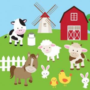 English: 1st year, Itati - Farm Animals