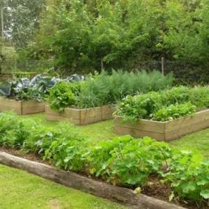 Herramientas para Nuestro Jardín o Huerto
