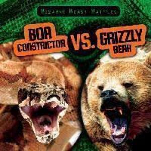 Boa and bear