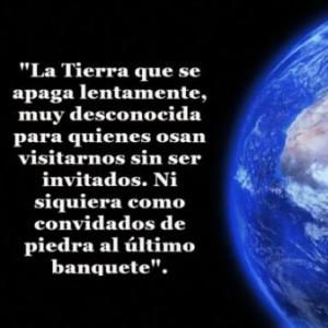 Tarjetas de coincidencia